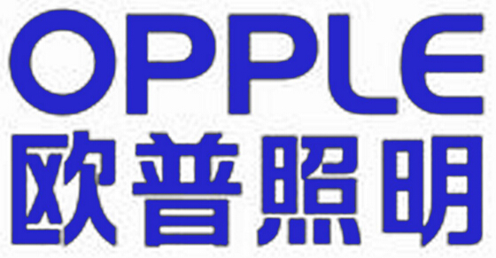 歐普照明用龍三塑料標(biāo)準(zhǔn)件很多! 歐普照明用龍三塑料標(biāo)準(zhǔn)件很多!